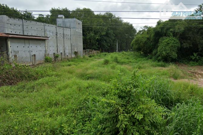 Cần Bán Lô Đất Gần Trường THCS, KCN An Linh 1000ha, 206.6m2 - 470 Triệu - 2
