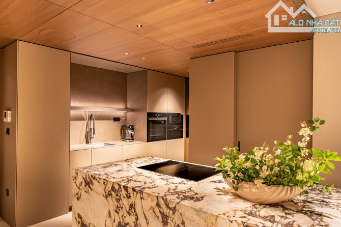 Cần bán gấp biệt thự Lô Góc 141m2 mt 16m Hàm Nghi giá 45 tỷ có thương lượng - 2