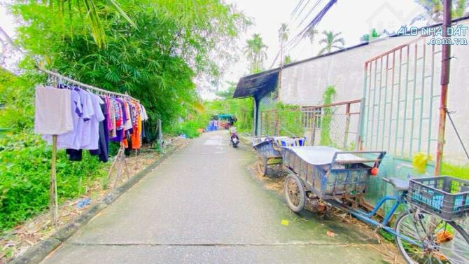 Bán đất 133 m2 thổ cư đường Nguyễn Trãi nối dài - 2