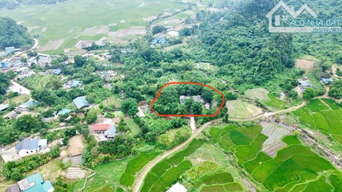 2087m Có 400m Đất ở - Bám Suối Cực Đẹp 50m - Đẹp Như Một Ốc Đảo - 2