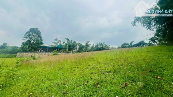2878m Có 400m Đất Ở - View Cánh Đồng Đẹp - Gần Serena RESOFT - 2