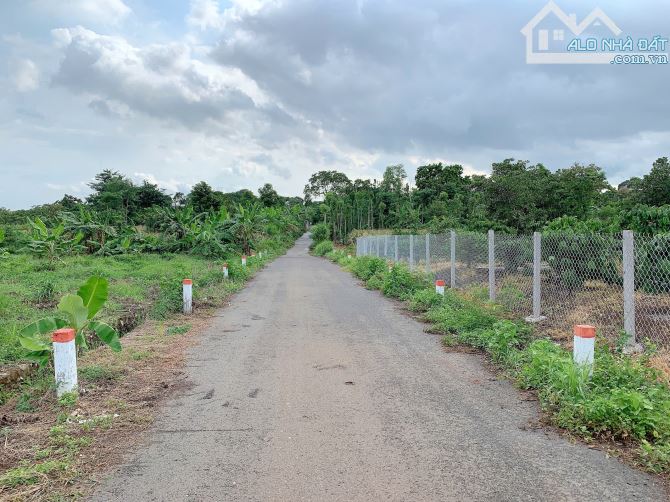 Bán khoảng 9 sào 9 (9943m2) đất xã Láng Lớn, huyện Châu Đức, BRVT. - 2