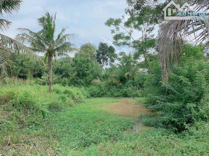 Bán khoảng 4 sào (4080m2) đất xã Láng Lớn, huyện Châu Đức, BRVT. - 2