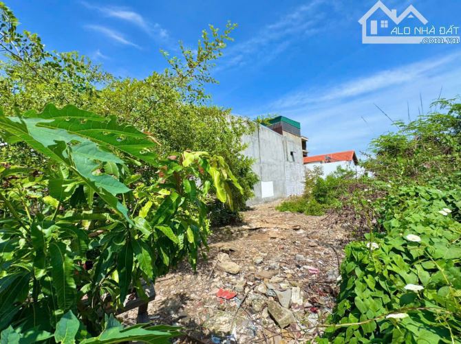Bán đất 258,5m2 TĐC Hòn Rớ 2,mặt tiền Nguyễn Tất Thành, Nha trang - 3