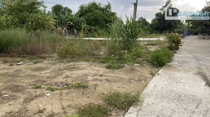 🌟 BÁN ĐẤT KIỆT MAI ĐĂNG CHƠN - RỘNG ĐẸP, GIÁ CHỈ 1 TỶ 880 TRIỆU!!! 🌟 - 3