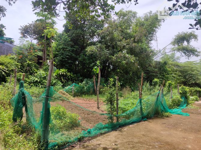 🌿 CẦN BÁN LÔ ĐẤT ĐẸP TẠI THÔN THẠCH BỒ – HÒA TIẾN – ĐÀ NẴNG 🌿 - 3