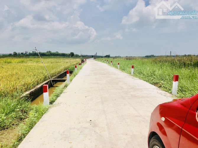 Như bước ra từ CỔ TÍCh Viêw lúa bao la đẹp lắm-dt:250m2- ngang 6mx45m-80 thổ cư-giá 9xx - 3