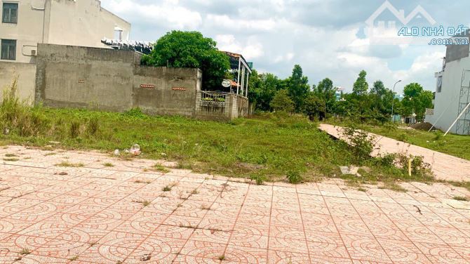 Bán Nhanh Lô Đất 100m2 _ 1ty230  Ngay Trung Tâm Gần TTHC Thủ Thừa _ Long An - 3