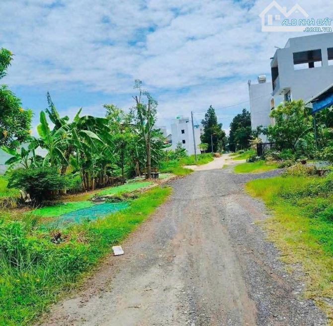 Đường số 10 - KDC 135 - TT Bến Lức 💥 Giá bán 2.8 tỷ TL - 3