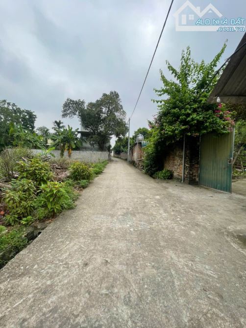 🔥 ĐẤT ĐẸP – VỊ TRÍ VÀNG GIỮA LÒNG HƯỚNG ĐẠO – TAM DƯƠNG 🔥  🏡 Lô đất cực hiếm tại thôn G - 3