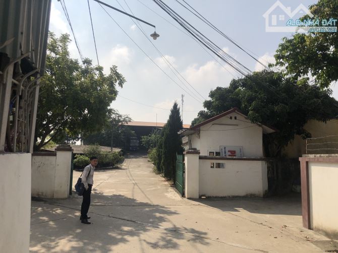 CHÍNH CHỦ CẦN CHUYỂN NHƯỢNG CÔNG TY NÔNG SẢN ĐANG HOẠT ĐỘNG TẠI YÊN BÁI - 3