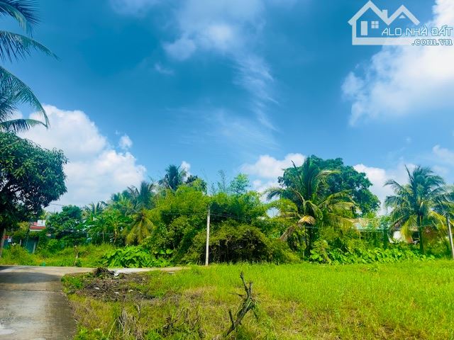 ✅Cần bán 852m2 ( 14* 62 ) FULL THỔ hẻm 95 Hoàng Anh, Tân Khánh, Long An - 3