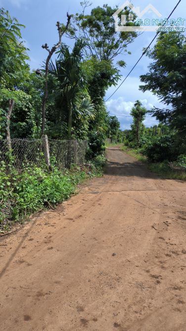 Đất nông nghiệp draysap gần khu dân cư không thiếu thứ gì - 3