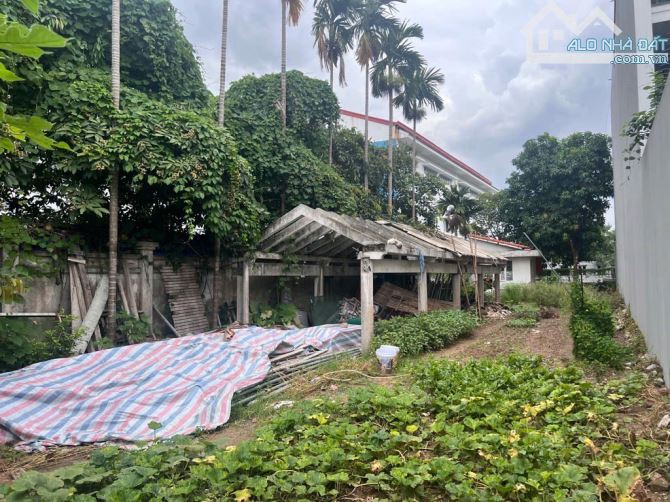Bán gấp mảnh đất 300m2 mặt đường Ngọc Thuỵ, đường ô tô tránh, giá 35 tỷ có TL mạnh - 3