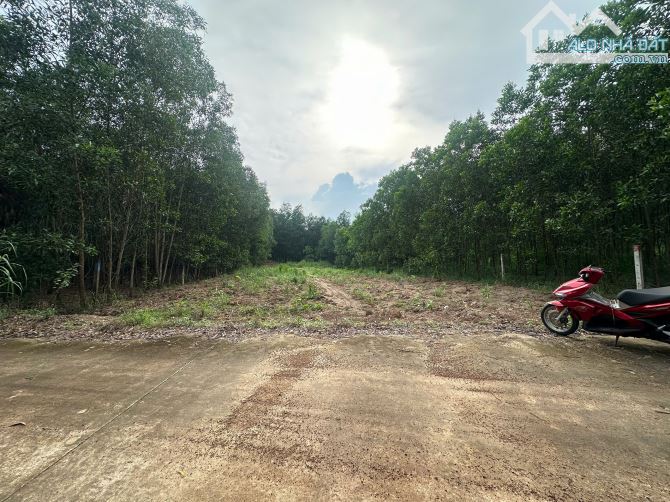 🌳 BÁN 1.411m² ĐẤT VƯỜN GIÁ RẺ TẠI TRỊ AN – VĨNH CỬU, CHỈ 1.1 TỶ - 3