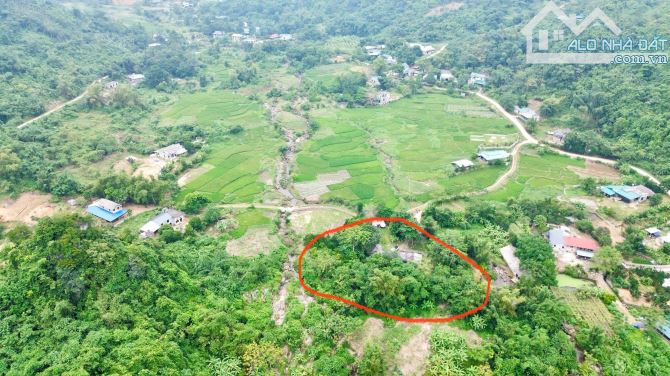 2087m Có 400m Đất ở - Bám Suối Cực Đẹp 50m - Đẹp Như Một Ốc Đảo - 3