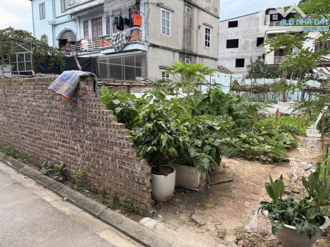 Đất Đẹp ĐA TỐN, Ô tô vào đât, 137M – 7M Tiền – Nhỉnh 10 tỷ, Đầu tư đỉnh chóp - 3