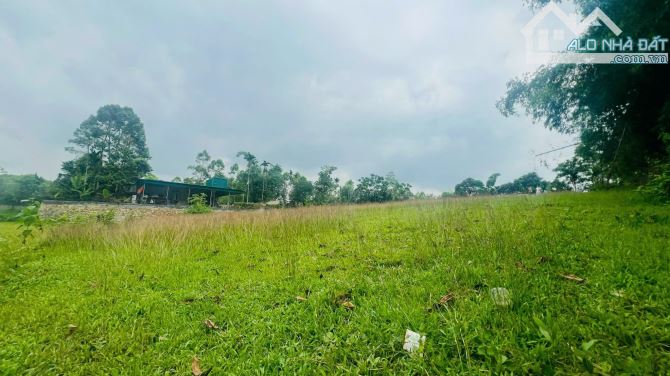 2878m Có 400m Đất Ở - View Cánh Đồng Đẹp - Gần Serena RESOFT - 3