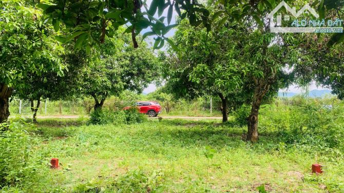 💥Bán lô Suối Tiên đất dân cắt bán , Gần HL39 , Nằm Khu Dân Cư. Diện tích: 98m2 thổ cư - 3