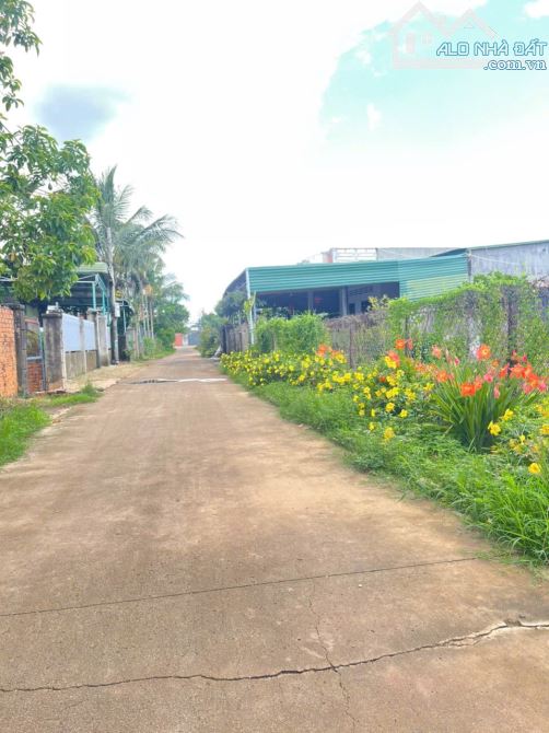 LÔ THỔ CƯ ĐƯỜNG PHAN VĂN ĐẠT - KHÁNH XUÂN - BMT - ĐAKLAK 1Tỷ 279 triệu - 3