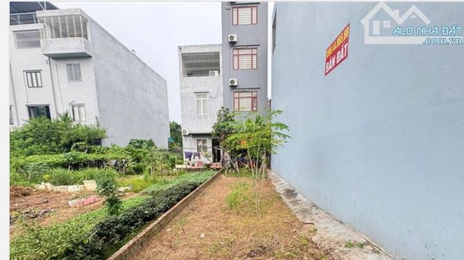 Bán đất Lê Hồng Phong, Đằng Lâm, Hải An,  60m2, 6,12 tỷ. - 4