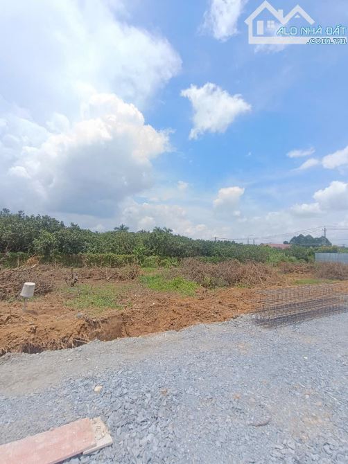 🌟 Mở Bán 36 Lô Đất Sổ Riêng – Trung Tâm Tân Triều – View Sông – Chỉ Từ 400 Triệu - 4