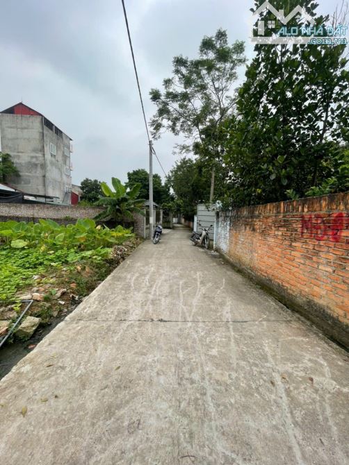 🔥 ĐẤT ĐẸP – VỊ TRÍ VÀNG GIỮA LÒNG HƯỚNG ĐẠO – TAM DƯƠNG 🔥  🏡 Lô đất cực hiếm tại thôn G - 4