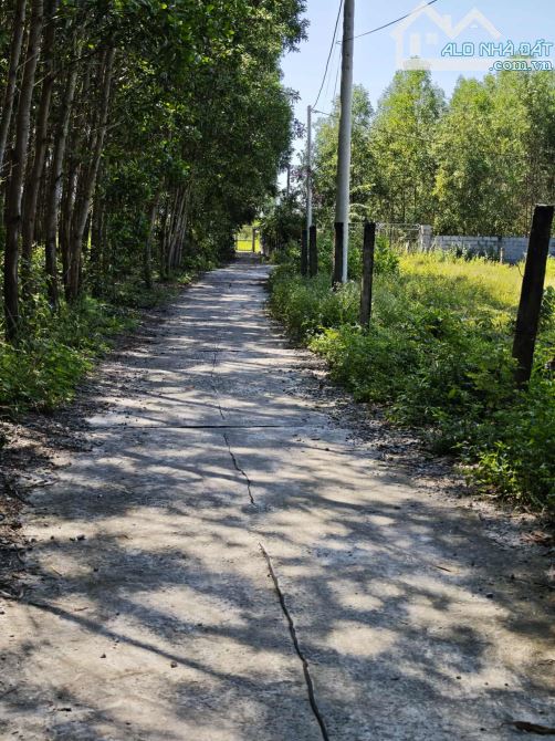 5 x 27m HẺM LÝ NAM ĐẾ, PHƯỜNG PHƯỚC HỘI, LAGI GIÁ CHỈ 650 TRIỆU - 4