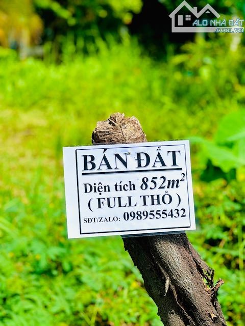 ✅Cần bán 852m2 ( 14* 62 ) FULL THỔ hẻm 95 Hoàng Anh, Tân Khánh, Long An - 4