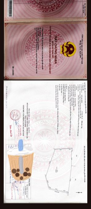 Đất nông nghiệp draysap gần khu dân cư không thiếu thứ gì - 4