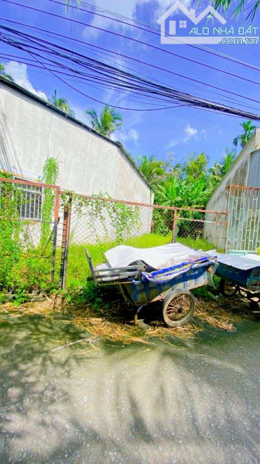Bán đất 133 m2 thổ cư đường Nguyễn Trãi nối dài - 4