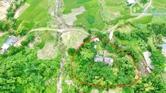 2087m Có 400m Đất ở - Bám Suối Cực Đẹp 50m - Đẹp Như Một Ốc Đảo - 4