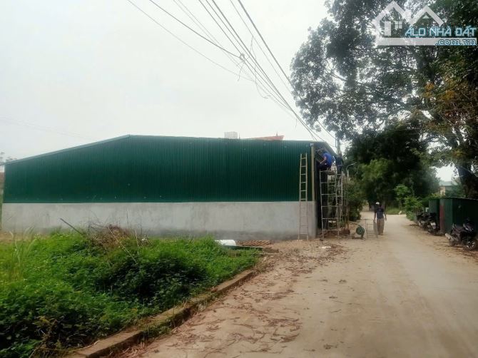 CHO THUÊ KHO/XƯỞNG TẠI QUANG MINH – MÊ LINH – HÀ NỘI - 4