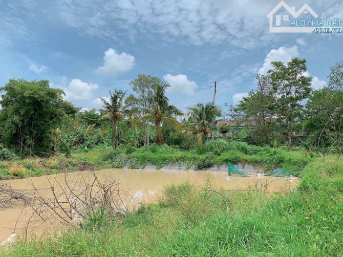 Bán khoảng 4 sào (4234m2) đất xã Bình Ba, huyện Châu Đức, BRVT. - 4