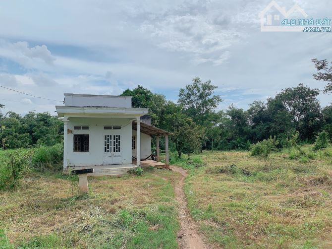 Bán khoảng 4 sào (4080m2) đất xã Láng Lớn, huyện Châu Đức, BRVT. - 4