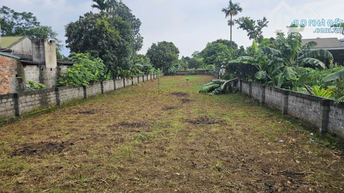 Bán 660m2 đất Cư Yên, Lương Sơn, Hoà Bình bám đường rộng - 5