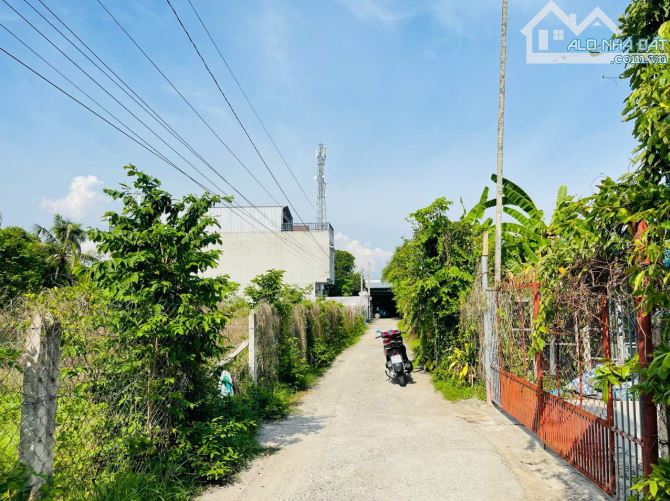 CẦN BÁN GẤP LÔ ĐẤT MẶT TIỀN ĐƯỜNG SỐ 31 GIÁ 390Tr XÃ TÂN THÔNG HỘI, CỦ CHI - 5