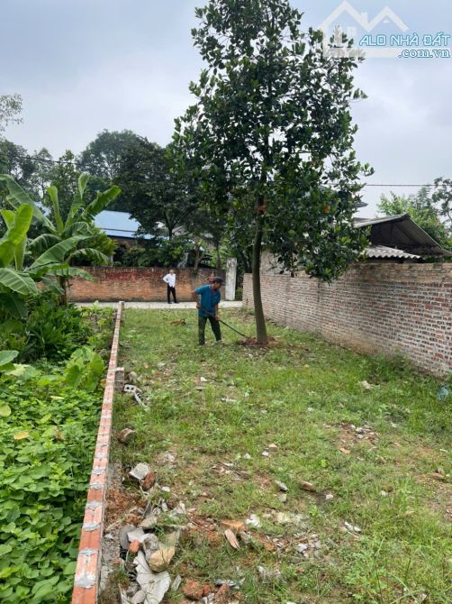 🔥 ĐẤT ĐẸP – VỊ TRÍ VÀNG GIỮA LÒNG HƯỚNG ĐẠO – TAM DƯƠNG 🔥  🏡 Lô đất cực hiếm tại thôn G - 5