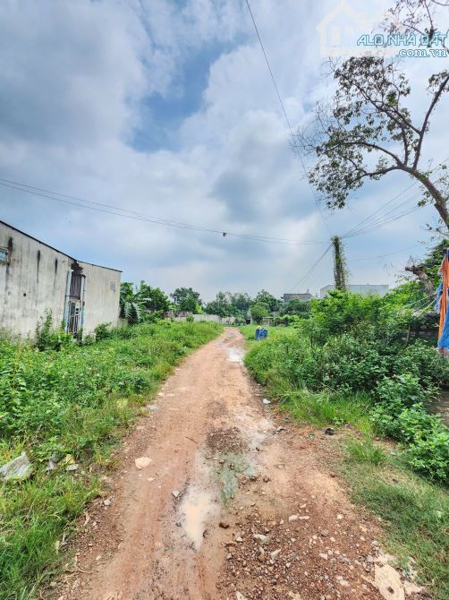 Bán dãy trọ 10x35m, mặt tiền Ống Nước p. Tân Bình gần chợ Phú An - 5