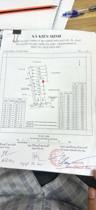 65,2m2 Cốc Liễn, Minh Tân, Kiến Thụy gần Ga Minh Tân - 5
