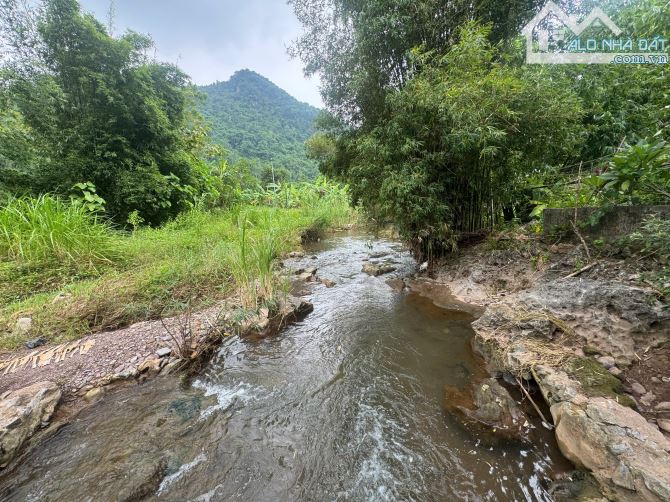 2087m Có 400m Đất ở - Bám Suối Cực Đẹp 50m - Đẹp Như Một Ốc Đảo - 5