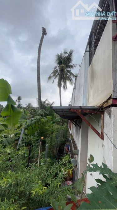 Bán nhà cấp 4 gác lửng gần Cầu Vĩnh Bình P.Vĩnh Phú Tp.Thuận An chỉ 3 tỷ 090 TL M7531 - 5