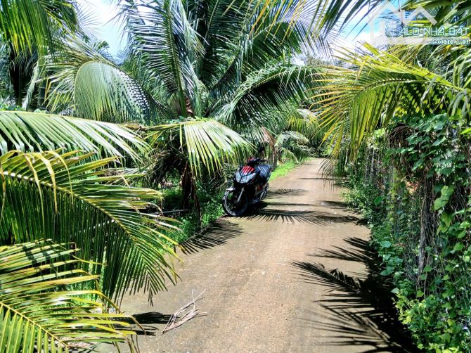 Bán KHU ĐẤT NHÀ VƯỜN rộng 4.300m3. ấp Long Hòa A, Phường Đạo Thạnh (Mỹ Tho) Tỉnh Đồng Tháp - 5