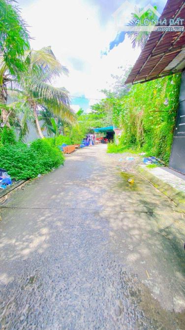 Bán đất 133 m2 thổ cư đường Nguyễn Trãi nối dài - 6