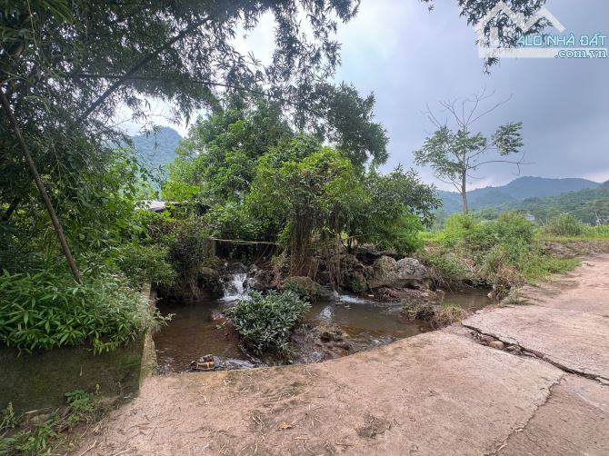 2087m Có 400m Đất ở - Bám Suối Cực Đẹp 50m - Đẹp Như Một Ốc Đảo - 6