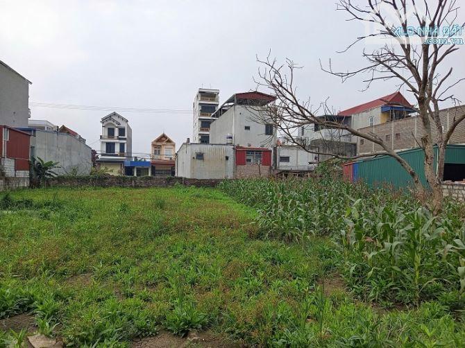 Bán Đất Thôn Hoà Chử, Xã Trường Thành, An Lão, Hải Phòng – 765m² Vuông Đẹp, - 6
