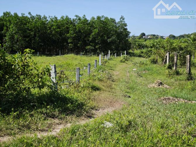 📍 Đất Phường LaGi, đường 5m, 5x32 tổng 177m² full thổ cư, giá rẻ bất ngờ chỉ 650triệu - 7