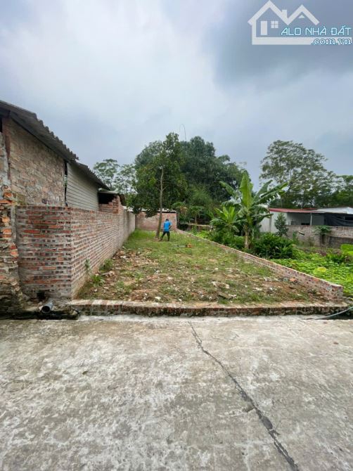 🔥 ĐẤT ĐẸP – VỊ TRÍ VÀNG GIỮA LÒNG HƯỚNG ĐẠO – TAM DƯƠNG 🔥  🏡 Lô đất cực hiếm tại thôn G - 7