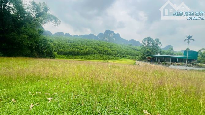 2878m Có 400m Đất Ở - View Cánh Đồng Đẹp - Gần Serena RESOFT - 7