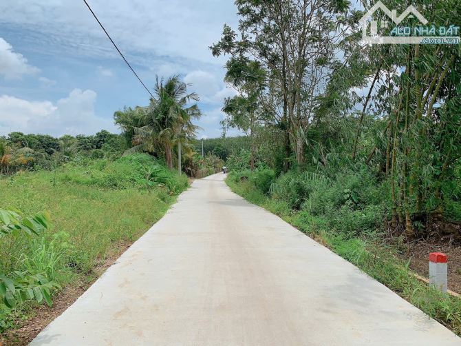 Bán khoảng 4 sào (4234m2) đất xã Bình Ba, huyện Châu Đức, BRVT. - 7